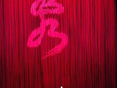 -水秀国际大剧院