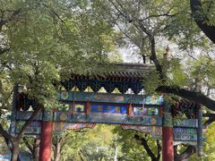 -北京国子监胡同