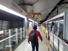 -外高桥保税区南(地铁站)