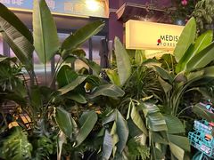 -MEDISN·药厂