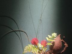 -觀芷隐轩