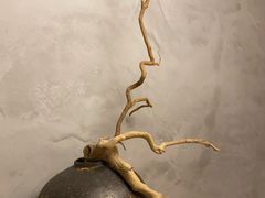 -本处·素食·融合料理(南油店)