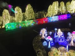 酒店夜景-别府杉乃井酒店
