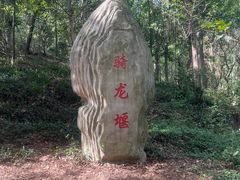 -上海佘山国家森林公园天马山园