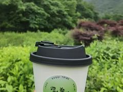 -北仑森林植物园