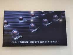 -JNK皮肤管理中心