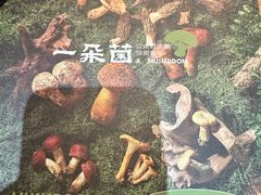 -一朵菌·野生菌探索家火锅(南亚店)