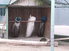 -胜华驾校·小猫学车(银都店)