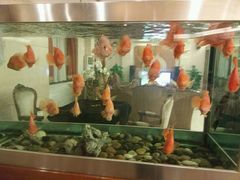 android_upload_pic-旺顺阁海鲜广场(亚运村店)