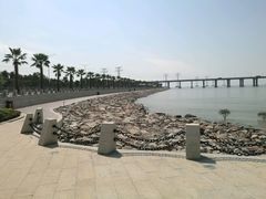 -宝安西湾红树林湿地公园