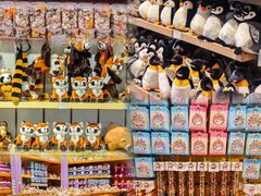 -海合安武汉极地海洋公园