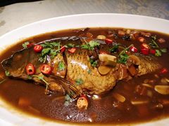 黄河口大鲤鱼-鲁城往事(游客中心店)