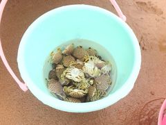 -青岛银沙滩