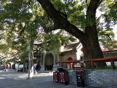 -洛阳周公庙博物馆