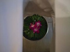 -绿洲水疗馆(卡塔店)