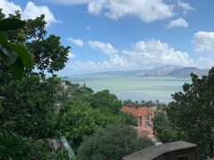 -八婆婆烧仙草(曾厝垵店)