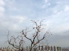 -府君山公园