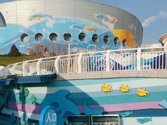 -海合安青岛极地海洋公园