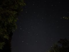 -武陵山森林公园