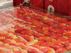 -淡马茶坊(深圳宝安壹方城店)