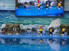 -多彩贵州城极地海洋世界