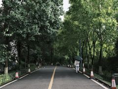 -西南政法大学(渝北校区)