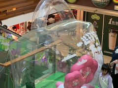 -巴黎春天(浦建店)