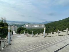 -铁山坪森林公园