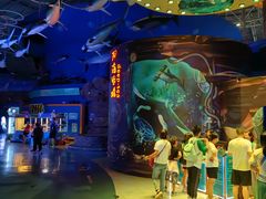 -烟台海昌鲸鲨海洋公园