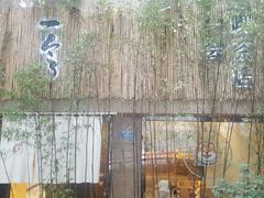 -柴务处·柴犬主题狗咖