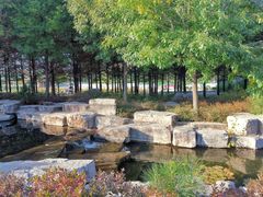 -羊亭河湿地公园