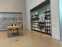 -Apple零售店(华贸购物中心店)