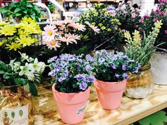 -新荟城(望京店)