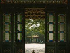 -顺峰山公园