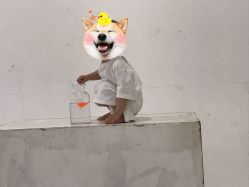 -星豆豆儿童摄影(南郊太白南路店)