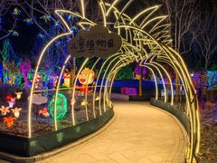 -南宫五洲植物乐园