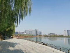-天鹅湖体育公园