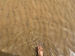 -日照海滨国家森林公园