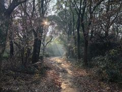 -虞山风景区