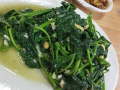 地瓜叶-长平肥姐白粥·海鲜打冷