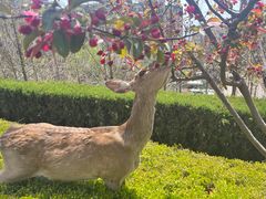 -大堂吧·下午茶·特调鸡尾酒(大连一方城堡豪华精选酒店)