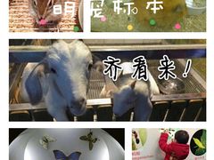 -上海大自然野生昆虫馆(东方明珠·爬宠昆虫探索中心)