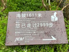 -恩施大峡谷