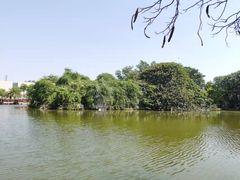 -长洲岛