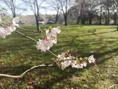 -共青国家森林公园-售票处