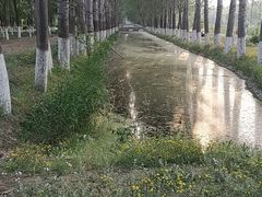 -东郊湿地公园