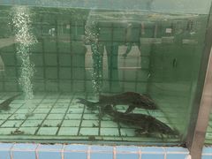 -天怡·鱼工厂(梅溪湖店)