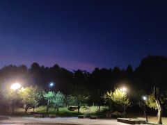 -东山公园