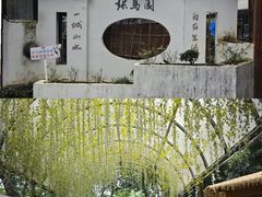 -张鸟园农家乐(张鸟园店)