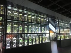 -广东中医药博物馆